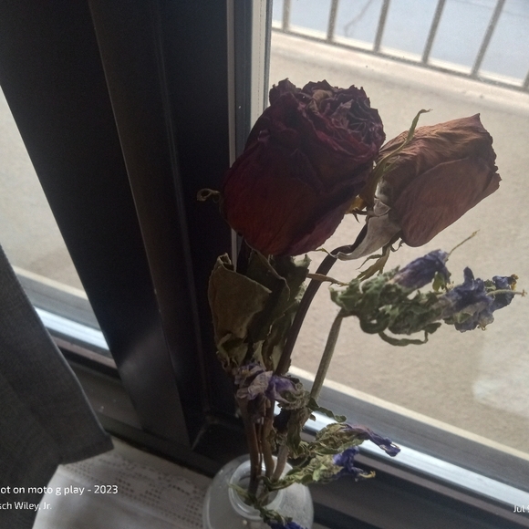 Meet your Posher, Tisch - Picture 3 of 13